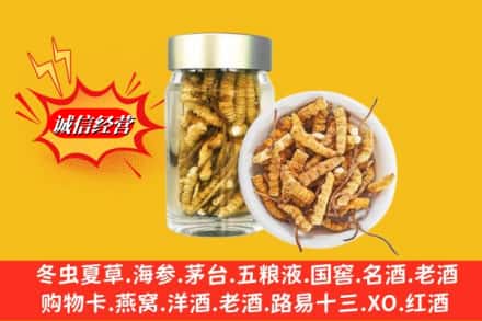 兴宁市回收散虫草